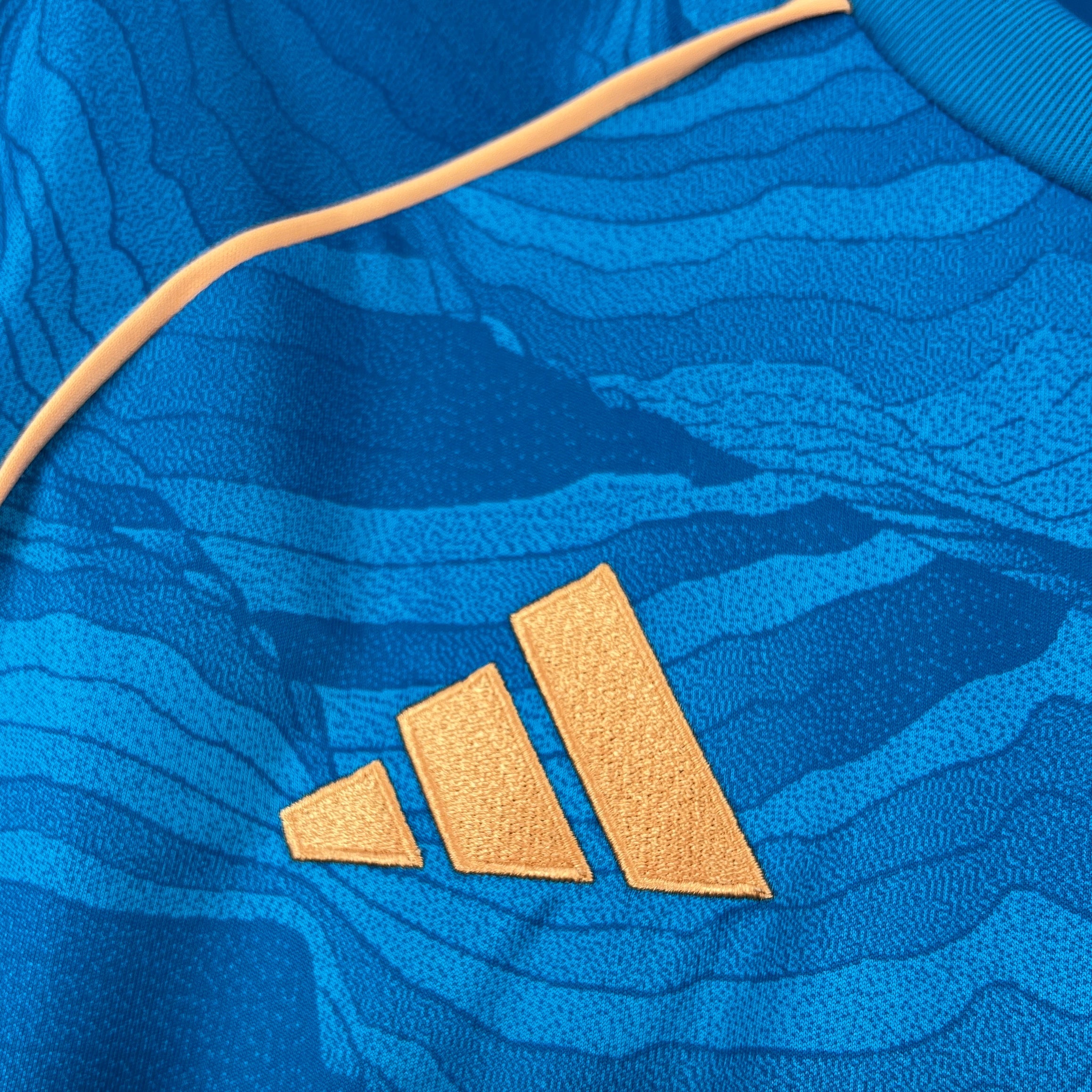 Camisa Cruzeiro 25/26 Third - Torcedor